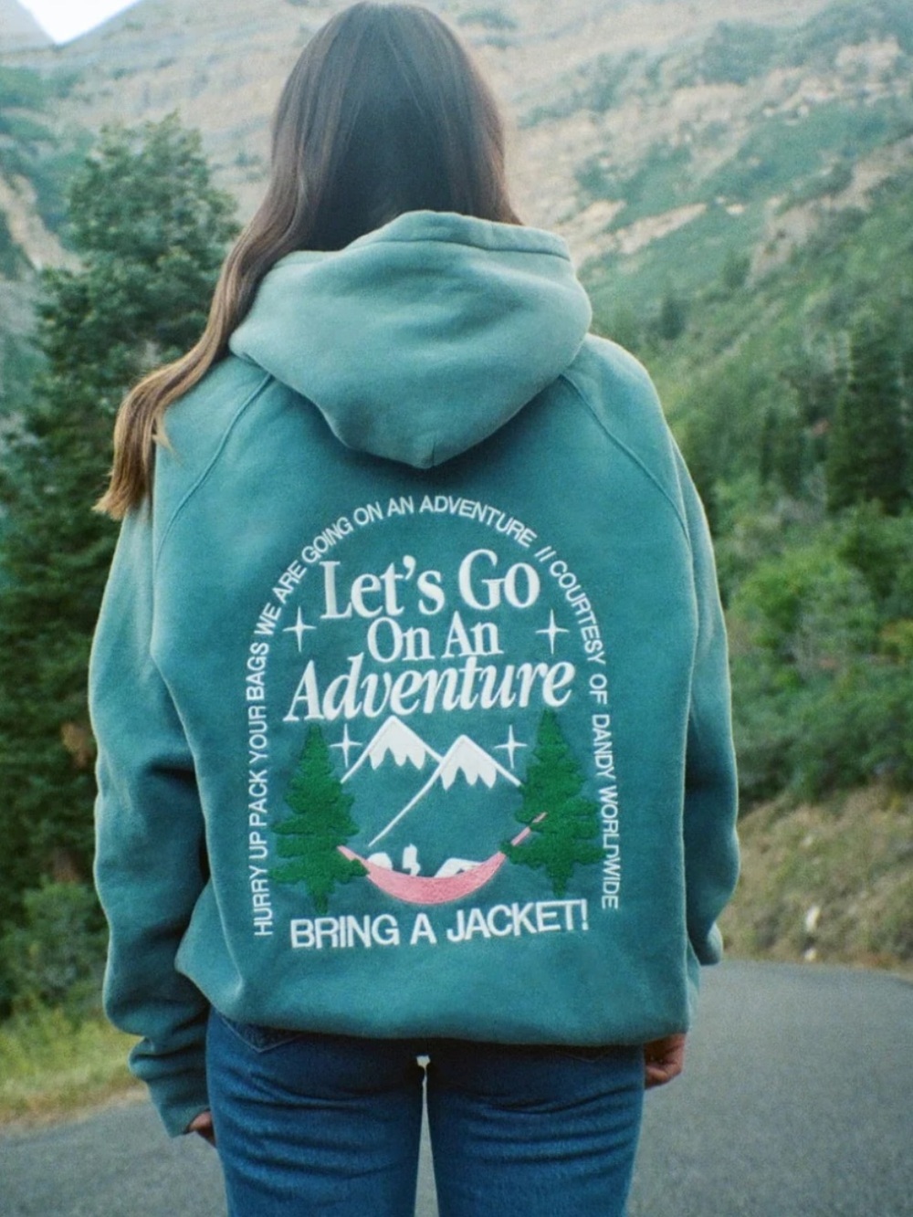 NEW WITHOUT TAGS Dandy Worldwide Halle x Dandy Adventure Hoodie - Picture 3 of 7